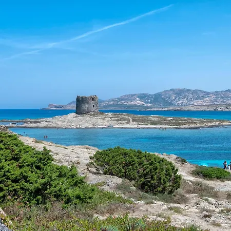 Hébergement de vacances La Pelosa